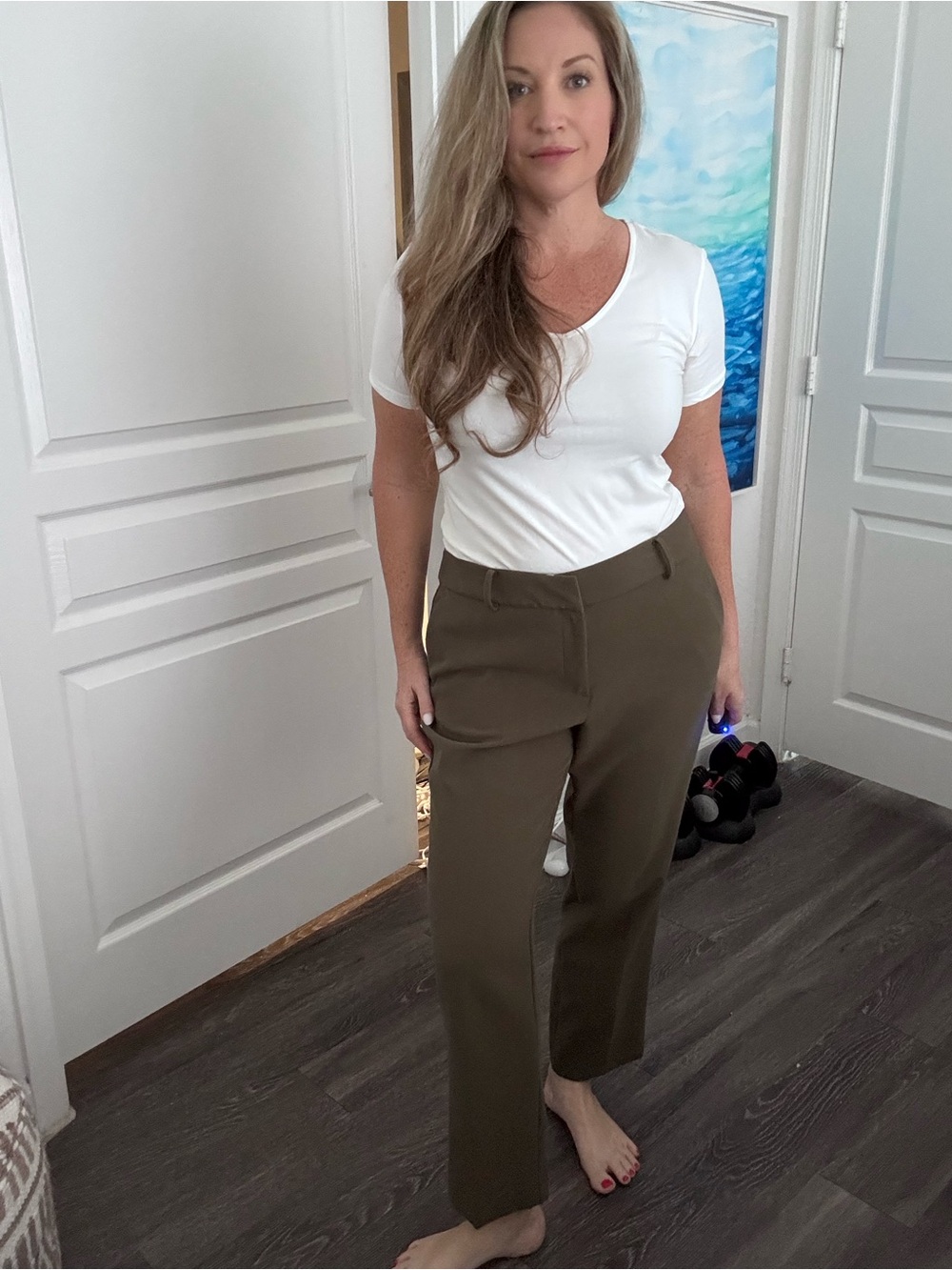 Ann Taylor Factory Olive Straight-Leg Dress Pants